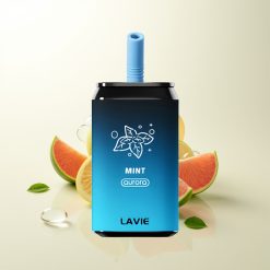 Lavie Aurora 11000 LAVIE Aurora 11000 Puffs Menta 650mAh 22ML