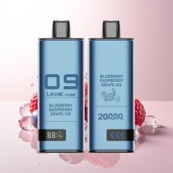 Lavie Cube 20000 Mirtilo Framboesa Uva Gelo 28ML Tipo C
