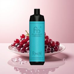 RandM Fumot Shisha 10000 Gelado de Cassis LED Indicador 0.6ohm Bobina em Malha