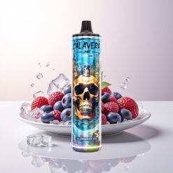 JNR Calavera 11000 Mirtilo Gelo Tipo-C Carregamento 850 mAh Bateria