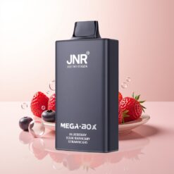 JNR Mega Box 25000 Mirtilo Azedo Framboesa Morango com Capacidade de 30ml e Carga Rápida Type-C
