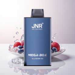JNR Mega Box 25000 Mirtilo Gelo 30ml Tipo-C