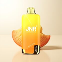 JNR Rainbow 10500 Mango Pêssego 600mAh 18ml Tanque