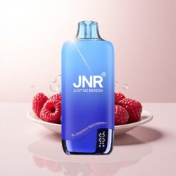 JNR Rainbow 10500 Mirtilo Framboesa – Bateria 600mAh Tanque 18ml