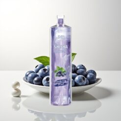 JNR Shisha Hookah 12000 Menta de Mirtilo 750mAh 24ml